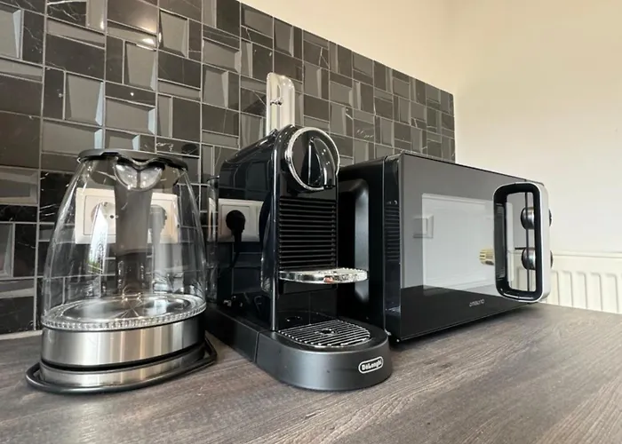 Moderne In 锡格马林根