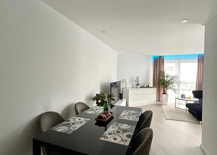 Moderne In 锡格马林根